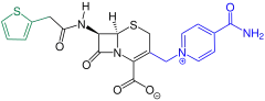 Cefalonium