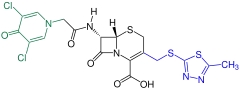 Cefazedon