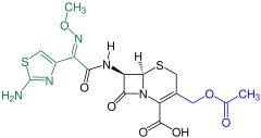 Cefotaxim