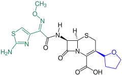 Cefovecin