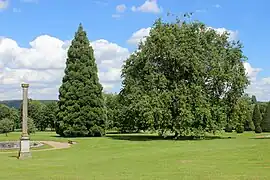 Partie im Landschaftsgarten