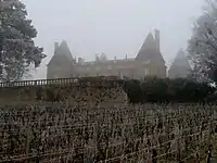 Burg Laye