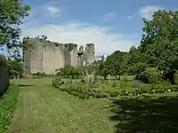 Burgruine