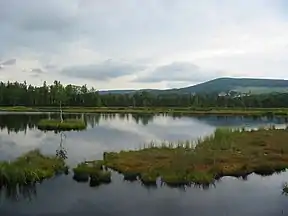 Hochmoor Chalupská slať im Nationalpark Šumava