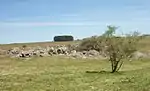 Chamangá: Gebiet der Felsenkunst