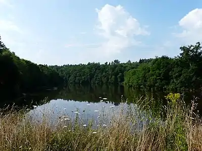 Der Étang Petits Moulins