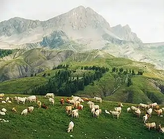 Aussicht