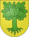 Wappen von Chanéaz