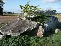 Dolmen von Charcé