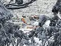 Skigebiet Charlotte Pass von der Kosciuszko Road aus im Winter