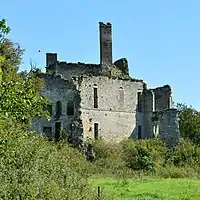 Schlossruine von Palluau