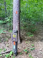 Nordende der Wanderwege Orange (Deep Woods) und Blue (West Crest).