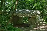 Pierre couverte du Moulin de Piau