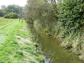 Die Kemme