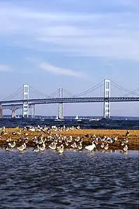 Die Chesapeake Bay Bridge