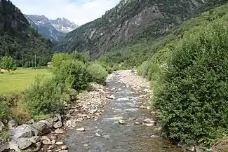 Ticinetto