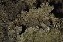 Drei perfekte Chlorargyritwürfel{100}