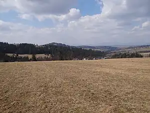 Pogórze Gubałowskie