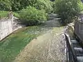 Die Cierny Váh am Zufluss zum Stausee