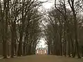 Allee nach Clemenswerth