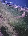 Pfad zum Strand von St Cyrus