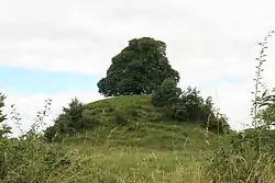 Von Hugh de Lacy errichtete Motte in Clonard