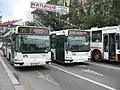 Auch in Rumänien benötigen Obusse keine Kenn­zeichen, …