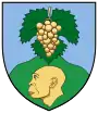 Wappen von Vértesszőlős