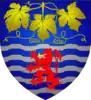 Wappen von Wellenstein