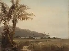 Cocotiers au bord de la mer, St. Thomas (1854/55)
