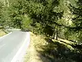 Die enge Passstraße führt teilweise durch einen Wald; hier die italienische Seite, ca. 1780 m.ü.NN