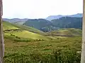 Die Hügel mit Überresten des Waldes im Tal, 2004