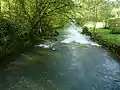 Der Coly bei Bouch