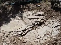 Fundstelle des Fossils 2002 vor Beginn der Grabungsarbeiten