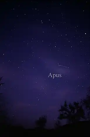 Das Sternbild Apus, wie es mit dem bloßen Auge gesehen werden kann