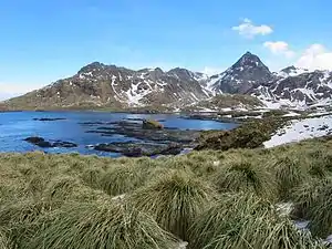 Uferabschnitt der Cooper Bay mit dem Ferguson Peak (rechts der Mitte)