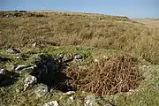 Korndarre in der Wüstung von Dirvananie, Dumfries and Galloway.