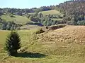 Burgruine