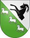 Corticiasca