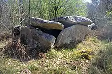 Dolmen du Bois de la Pidoucière