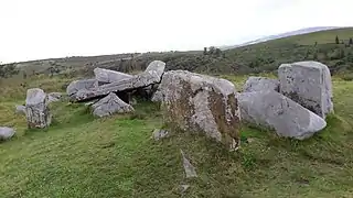 Wedge Tomb von Tullygobban Hill