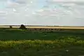 Landschaft bei Kengyel