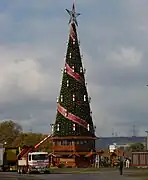 Aufbau des Baumes