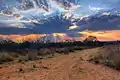 Strahlenbüschel beim Sonnenuntergang am Waterberg-Plateau