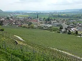 Cressier mit Bielersee