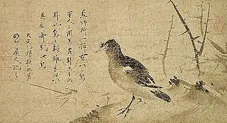 Hauben-Myna