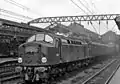 D236 in Crewe(April 1960)