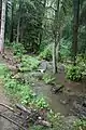 Der Voigtsbach nahe der Mündung