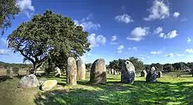 Cromlech im Vale Maria do Meio