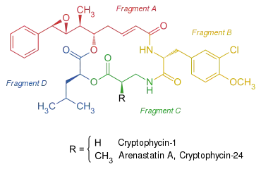 Strukturformel der Cryptophycine Cryptophycin-1 und Arenastatin A